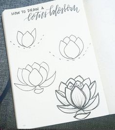 an open notebook with drawings of flowers and leaves on the pages that says how to draw a lotus blossom