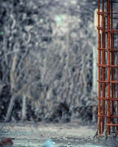 a red fire hydrant sitting next to a tall metal structure in the middle of a forest