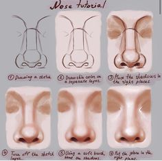 how to draw nose shapes for beginners with step - by - step drawing instructions