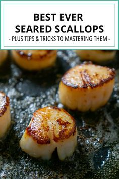 seared scallops on a pan with text overlay reading best ever seared scallops - plus tips & tricks to mastering them