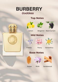 Indulge in the divine allure of Burberry Goddess! Immerse yourself in the refreshing top notes of lemon, bergamot, and black currant, followed by the enchanting mid notes of freesia, peony, and osmanthus. Delight in the lingering base notes of musk, sandalwood, and amber. Elevate your senses with this heavenly fragrance. Click now to captivate your senses and embrace the essence of Burberry Goddess! 🌸✨ #BurberryGoddess #LuxuryPerfume #FragranceNotes #DivineScent Black Currant Perfume, Burberry Goddess Perfume, Burberry Body Perfume, Perfumes Notes, Freesia Perfume, Bergamot Perfume, Burberry Goddess, My Burberry Black, Goddess Perfume