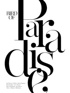 an advertisement with the words bird of paradise in black and white, on a white background