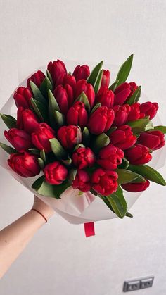 a bouquet of red tulips being held by someone