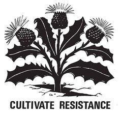 a black and white image of a holly plant with the words cultivate resistance on it