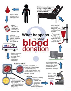 what happens to your blood donation? info from the medical center for children and adults