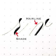 the hairline has been drawn to show how it should be used for different types of hair