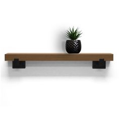 a potted plant sitting on top of a wooden shelf next to a white wall