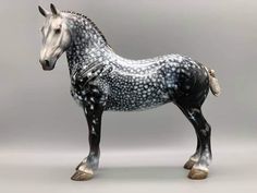 a black and white horse with spots on it's body, standing in front of a gray background