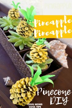 pineapples are in a potted planter on a table with text overlay that reads pine cone summer diy