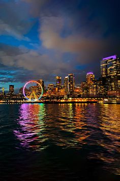 a ferris wheel is lit up in front of the city skyline at night with lights reflecting off the water