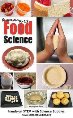 an advertisement for food science with pictures of different foods and desserts on it's sides