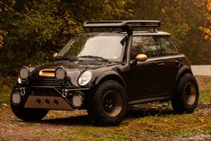 a small black car parked in front of some trees