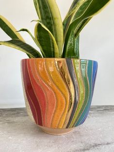 a potted plant sitting on top of a table