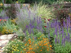 a garden filled with lots of different types of flowers