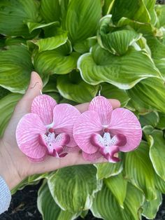 three pink flowers are being held by someone's hand in front of some green leaves