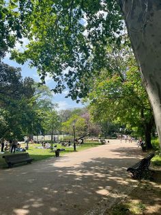 the park is full of people sitting on benches and walking around it, with many trees lining the path