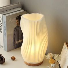 a white lamp sitting on top of a table next to a book and pine cones