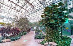 the walkway is lined with plants and trees