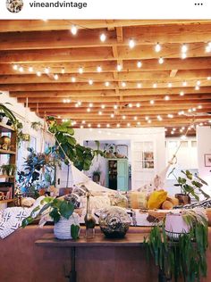 an instagram photo of a living room with plants and lights on the ceiling above it