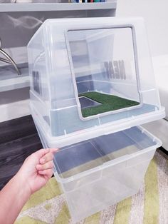 Clean litter box Catbox Solutions Diy, Litter Boxes For Multiple Cats, Large Litter Box Enclosure, Elevated Litter Box Ideas, Litter Box Ideas For Multiple Cats, Catbox Solutions, Multi Cat Litter Box Ideas, Outdoor Litter Box Ideas, Cat Litter Hacks