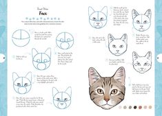 an illustrated book with instructions to draw cats