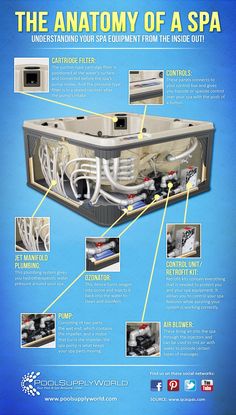 the anatomy of a spa poster