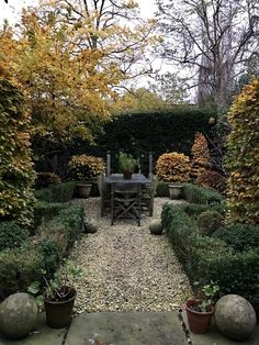 a table and chairs in the middle of a garden