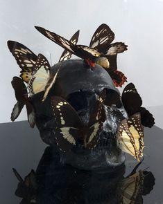 a skull with butterflies on it sitting on top of a black table in front of a window