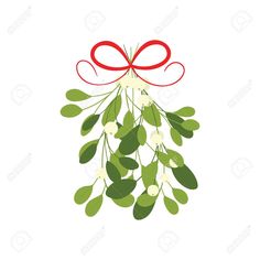 mistle with red ribbon and bow on white background stock photo - 957982