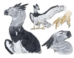 Aegean | Genderswapped minter at the request of a friend #wof #wofart #woffanart #wingsoffire #wingsoffireart #wingsoffirefanart #nightwingwof… | Instagram Peryton Deer, Icewing Oc, Griffin Oc, Bird Creature, Feathered Dragon, Mythical Animal, Fantasy Animals, Creature Drawings, Fantasy Creatures Art