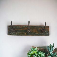 a potted plant sitting on top of a wooden shelf next to a coat rack