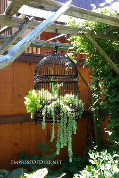 a bird cage with plants hanging from it