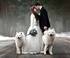 a bride and groom with two white dogs