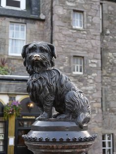 a statue of a dog sitting on top of a fire hydrant in front of a building