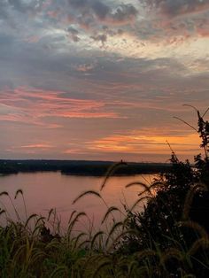 the sun is setting over a body of water with tall grass in front of it