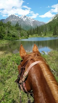 a brown horse standing on top of a lush green field next to a lake and mountains