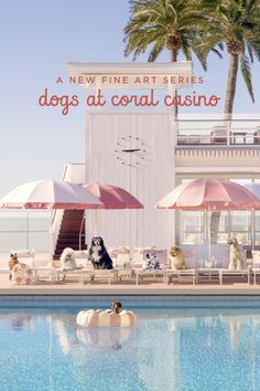 pool, dogs by the pool, casino, coral casino, palm trees, pool day, art, photography, dog art. California Animals, Beach Club Aesthetic, Pool Club, Job Inspiration, Dog Spa, Beach Prints, Summer Club, Dog Club, Beach Cabana