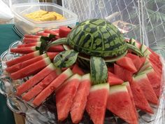 watermelon slices arranged in the shape of a turtle on top of a platter