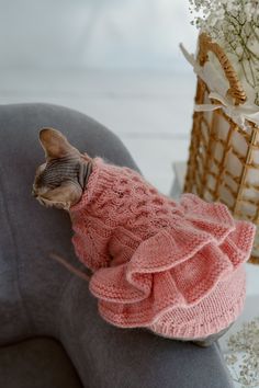 a cat in a pink sweater is sitting on a gray chair next to a basket