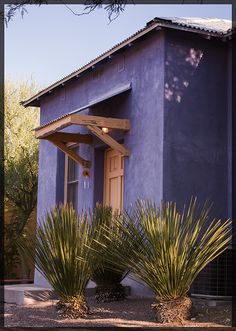 a blue building with two plants in front of it