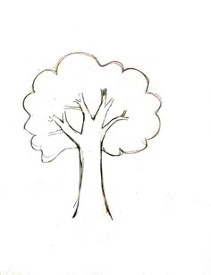 a drawing of a tree with no leaves