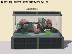 an aquarium filled with lots of different types of sea animals and corals on top of it