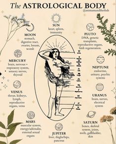 #witch #witchcraft #witchythings #witchyvibes #witchcraftforbeginners #spiritual #spirituality #spirit #spiritualawakening #spiritualgrowth #wicca #aesthetic #magic #rituales How To Learn Astrology, Forms Of Divination, Astrology Notes Aesthetic, Astrology Infographic, Astrology Grimoire, Book Of Shadows Astrology, Hellenistic Astrology, Astrology Branding, Body Astrology