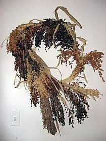 dried flowers hang from the ceiling in a room