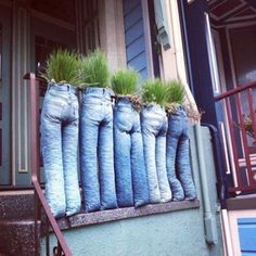 several pairs of jeans with grass growing out of them sitting on the steps outside a house