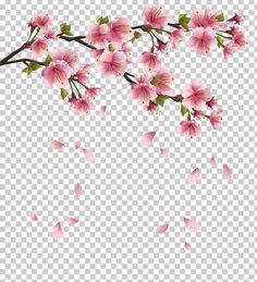 pink flowers on a branch with petals flying in the wind, transparent background png clipart