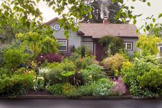 a house surrounded by trees and flowers