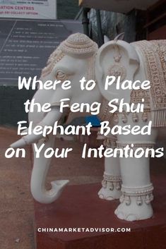 Where to Place the Feng Shui Elephant Based on Your Intentions Feng Shui Helpful People Area, Feng Shui Quotes, Feng Shui Tips For Wealth