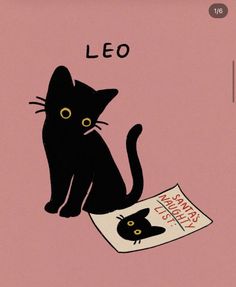 a black cat sitting on top of a pink background with the words leo written above it