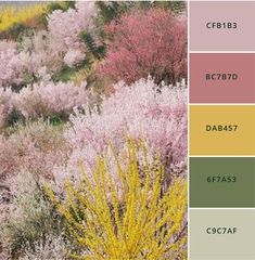 the color palette is different shades of pink, yellow and green